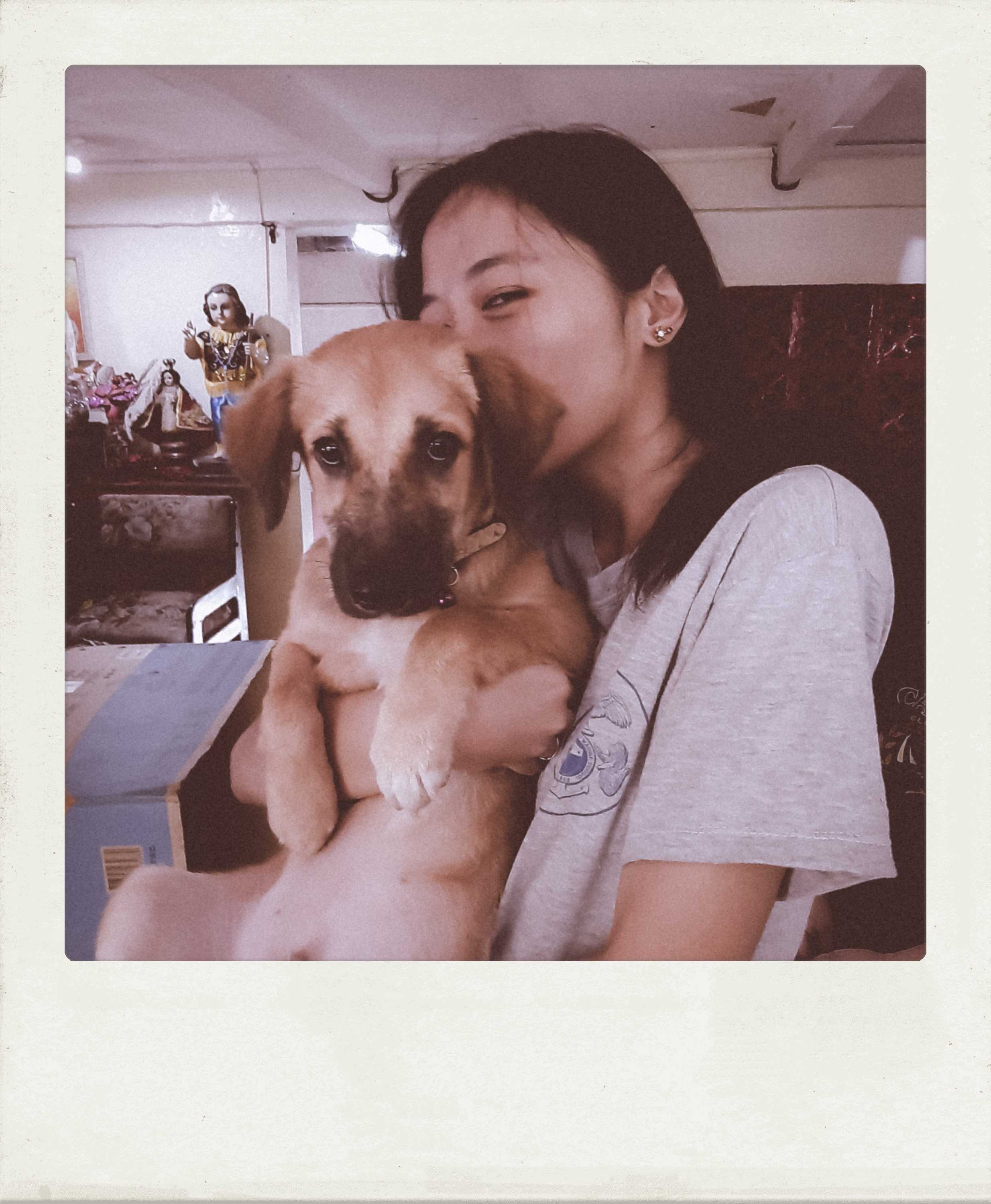 Profile Cover