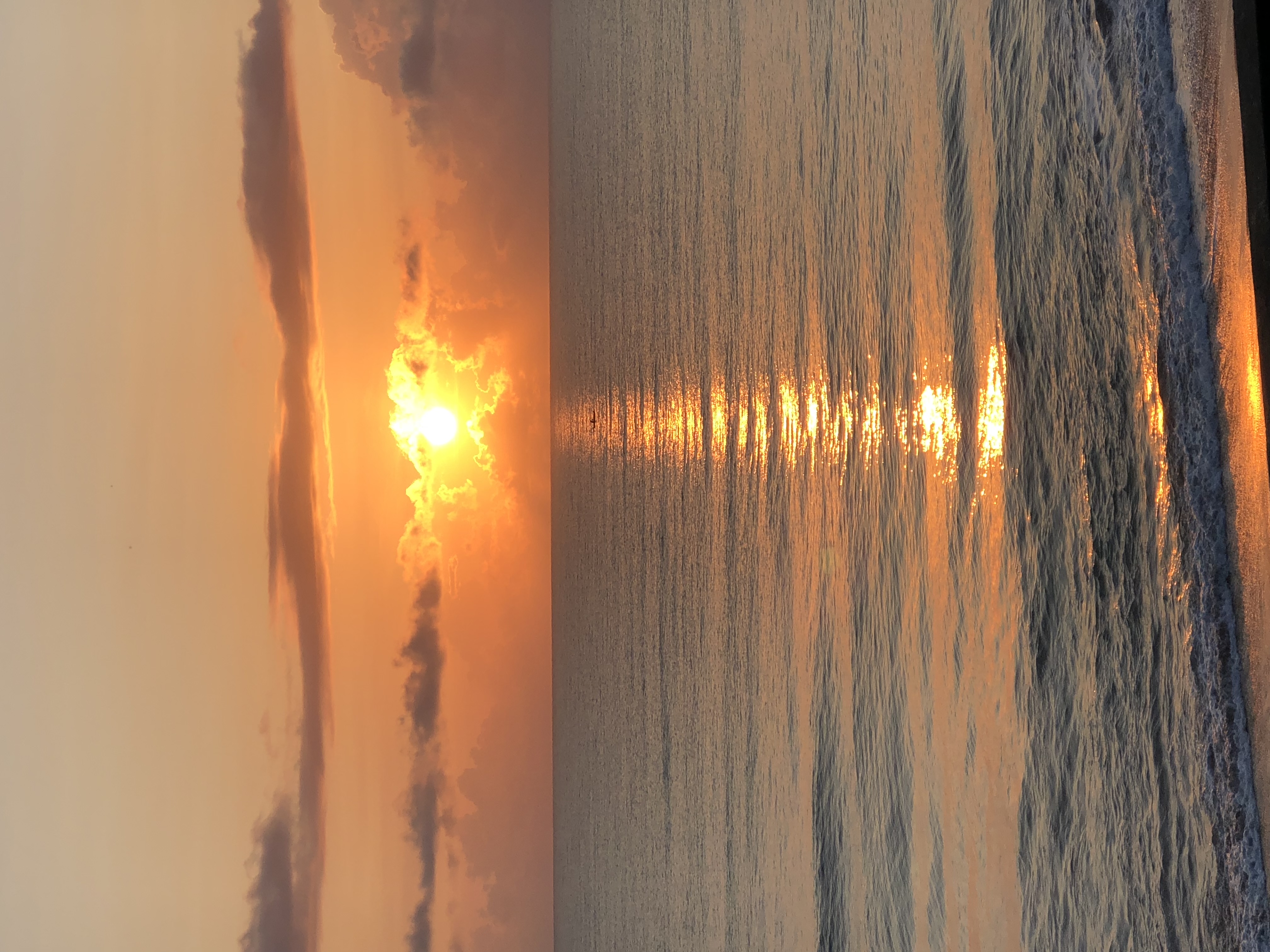 Profile Cover