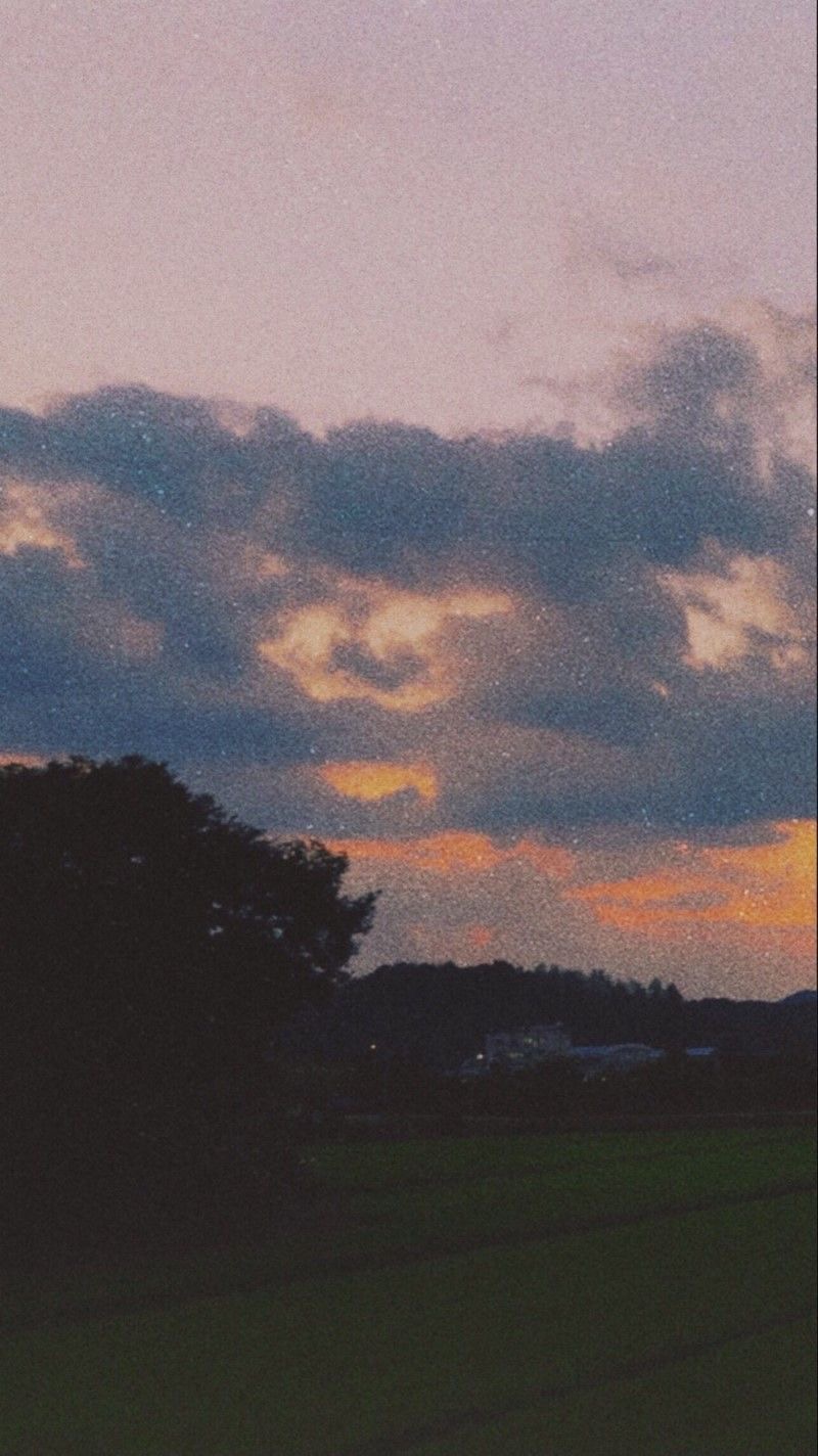 Profile Cover
