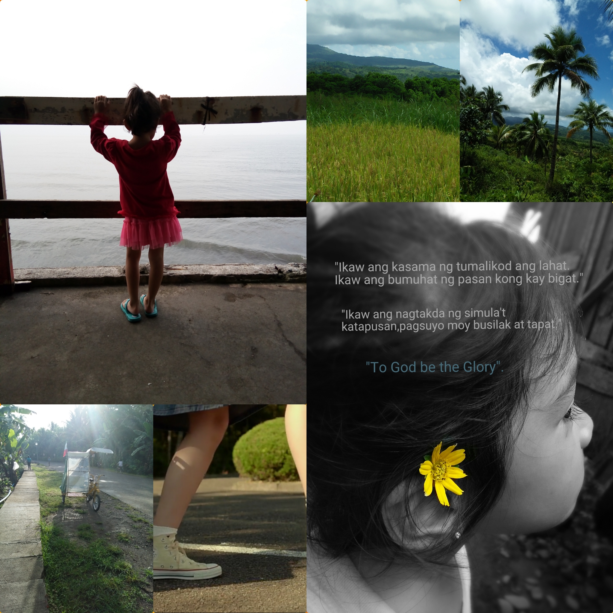Profile Cover