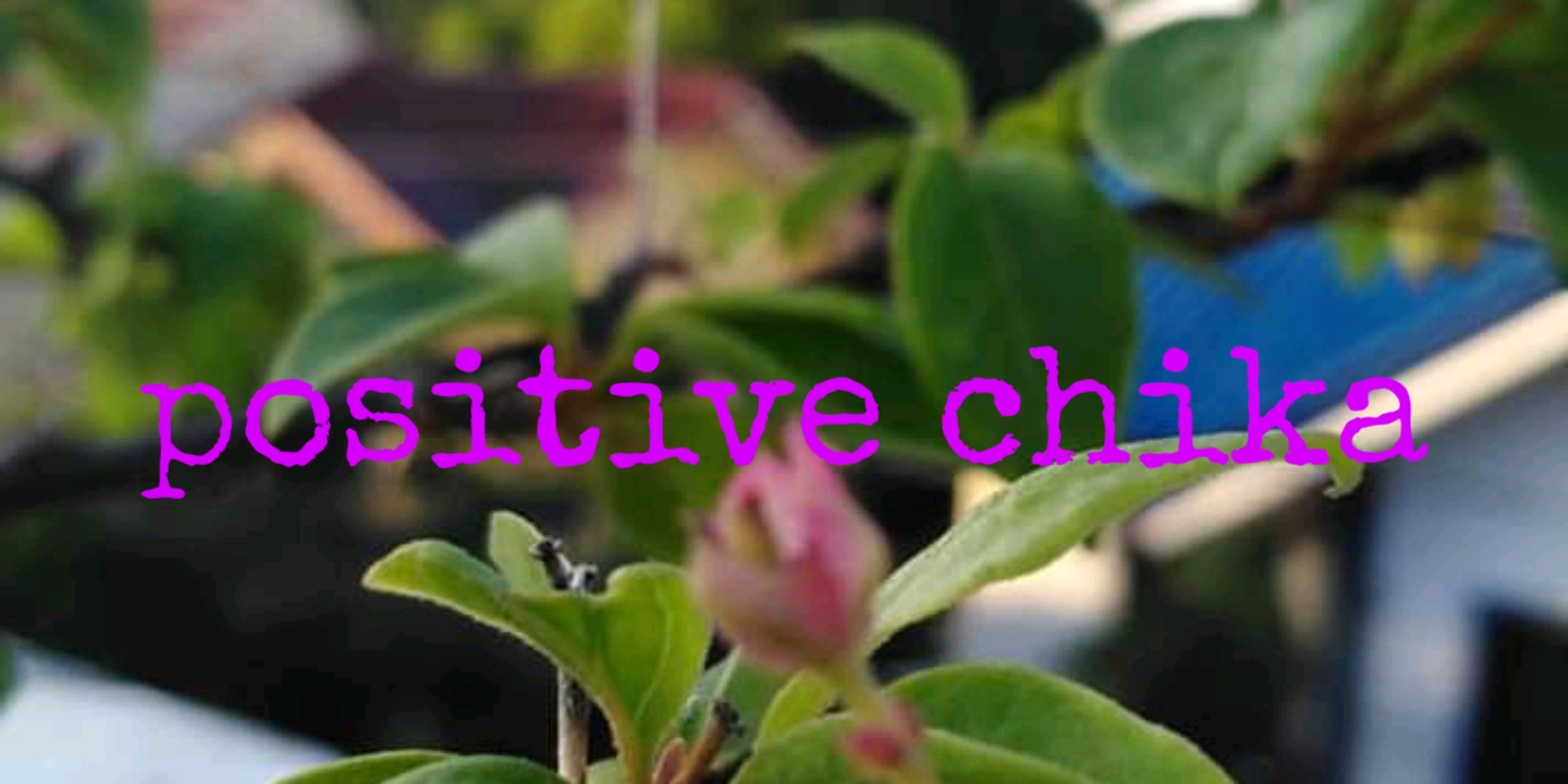 Profile Cover
